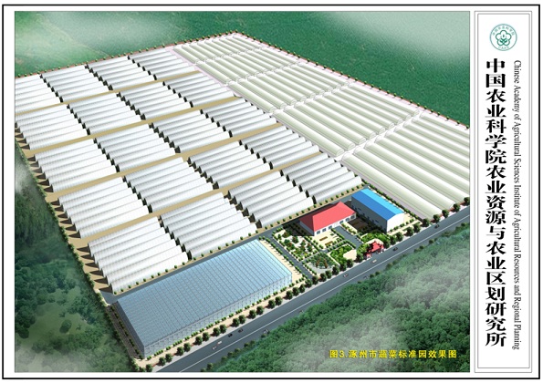 涿州市蔬菜产业发展规划（2010—2015）