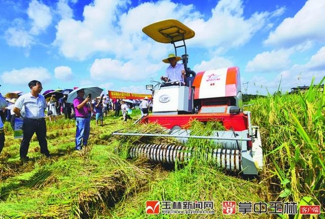 農業機械化助力“秸稈還田”