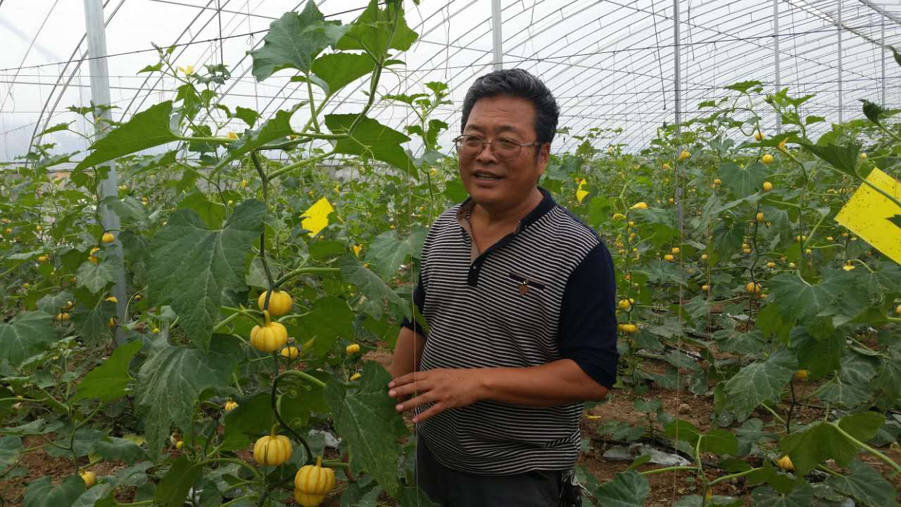 盟员马新世精心培育新品种，推广新技术， 被评为陕西省首届十佳职业农民