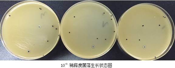 金黃色葡萄球菌檢驗技術介紹及分析