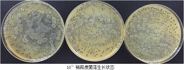 金黃色葡萄球菌檢驗技術介紹及分析