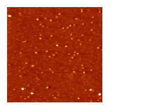 2D_CdSe-quantum-nanoparticles.jpg