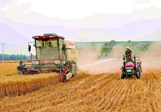 图据新华每日电讯