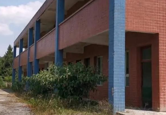 网友拍摄的“红光古天乐小学”现状，教学楼已荒废多年杂草丛生。