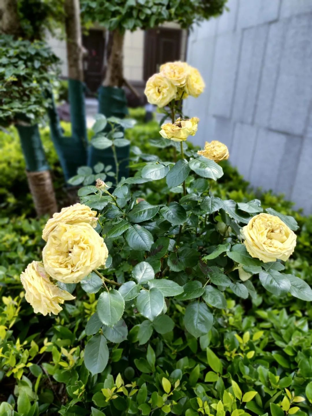 ΢ÐÅͼƬ_202105191145416.jpg