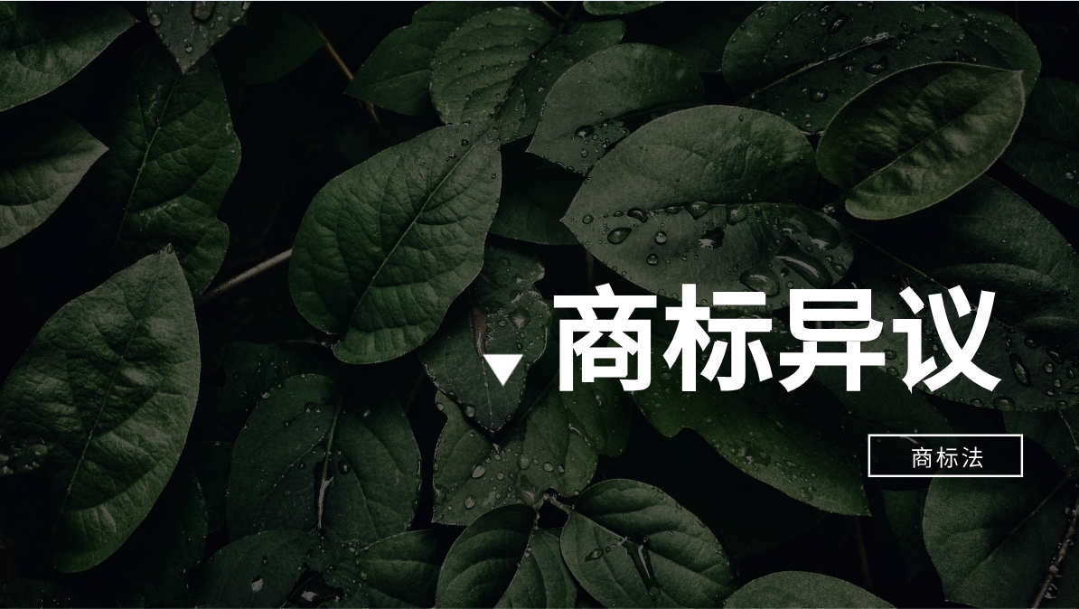 商标异议1.png