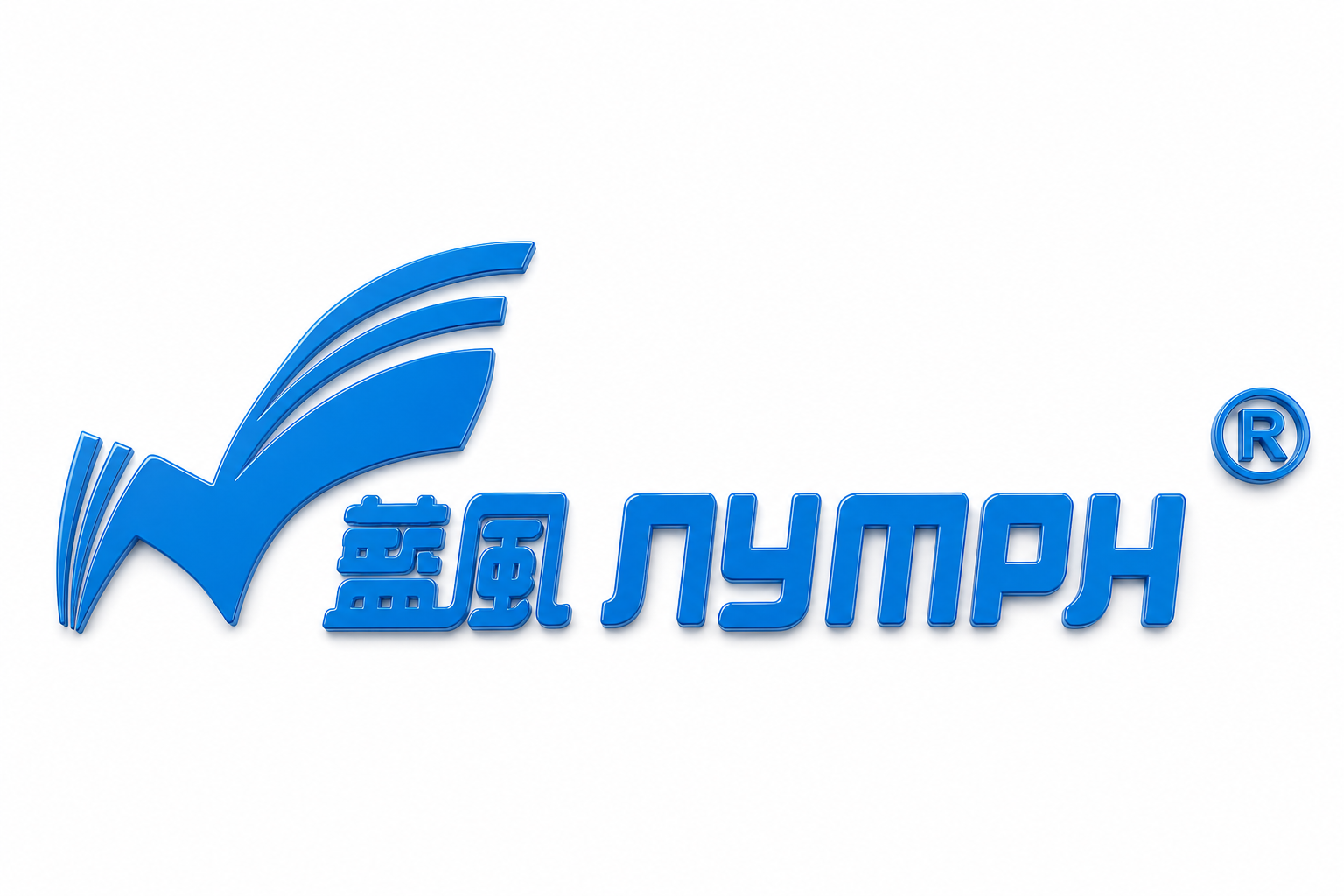 某国潮服饰品牌