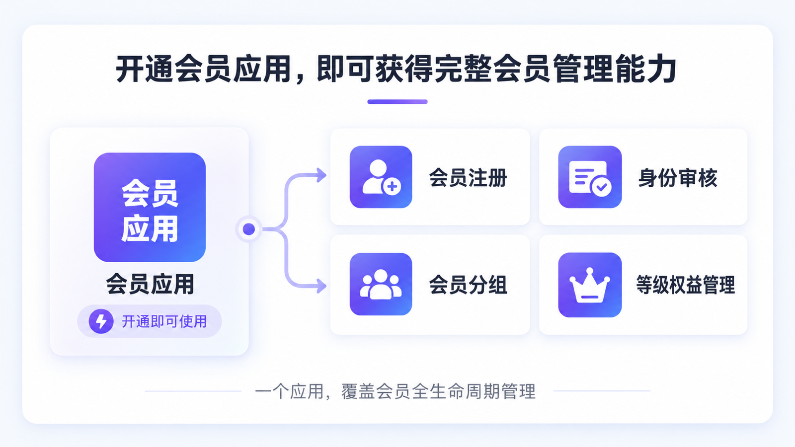 个人会员与企业会员的身份分流和权益配置