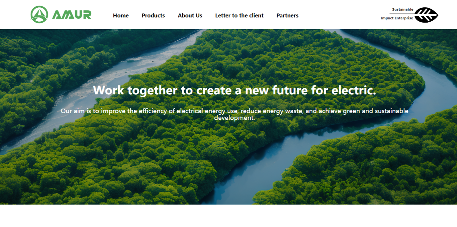 温州市阿木尔电气有限公司