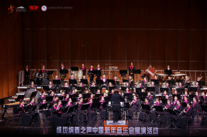 维也纳春之声中国新年音乐会公益展演在京圆满落幕
