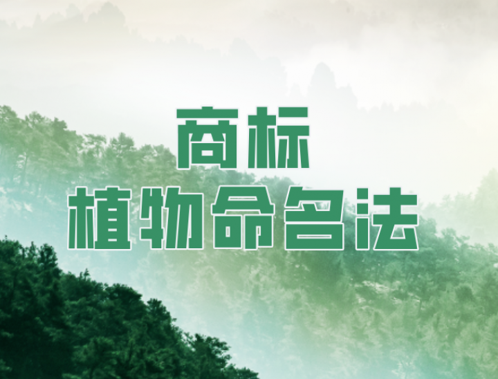 商标植物学命名：助品牌破土而出