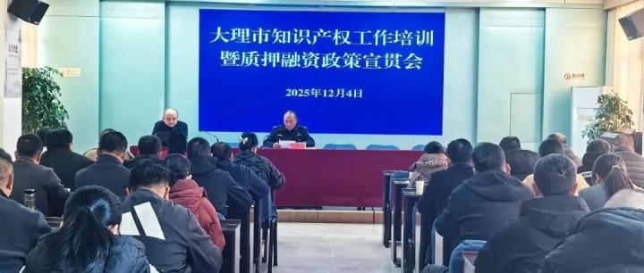 &ldquo;知产&rdquo;变&ldquo;资产&rdquo;！大理市举办知识产权专题培训暨质押融资宣贯活动